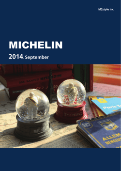 MICHELIN - M2style web shop