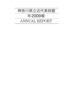 年報 2009年度（PDF/9.72MB）