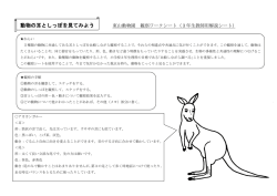 動物の耳としっぽを見てみよう