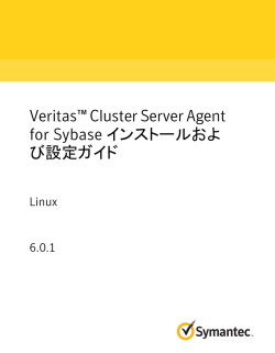 Veritas™ Cluster Server Agent for Sybase インストールおよび設定ガイド