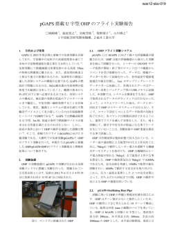 pGAPS 搭載 U 字型 OHP のフライト実験報告