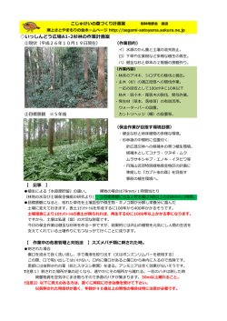 いっしんどう広場A1-2杉林の作業計画案