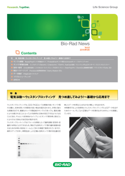 vol.6 2015年5月号 電気泳動～ウェスタンブロッティング特集 - Bio-Rad