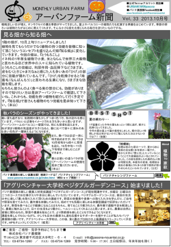 アーバンファーム新聞 Vol．33 2013.10月号