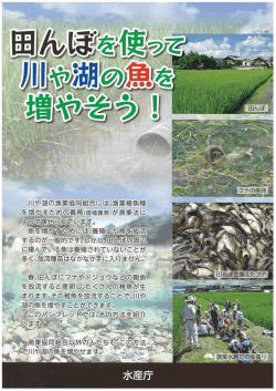 田んぼを使って川や湖の魚を増やそう！（PDF：890KB）