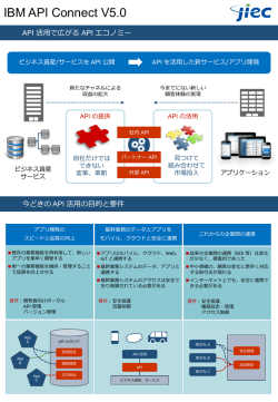 IBM API Connect [PDFファイル745KB]