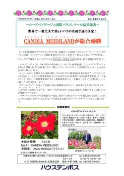 「バラ祭」トピックス