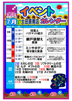 網戸張替え ミニサボテン