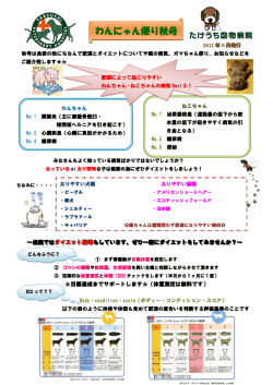 肥満によって起こりやすいわんちゃん・ねこちゃんの病気Best3！