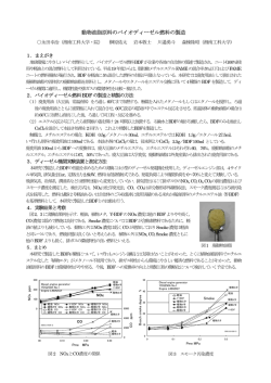 動物油脂原料のバイオディーゼル燃料の製造