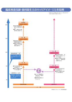 臨床検査技師・歯科衛生士のキャリアイメージと年収例