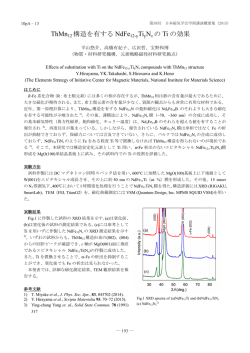 ThMn12 構造を有する NdFe 12-yTiyNx の Ti の効果