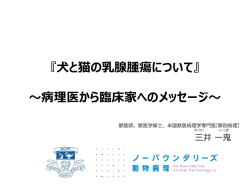 犬と猫の乳腺腫瘍 HP用