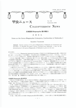 甲虫ニュース
