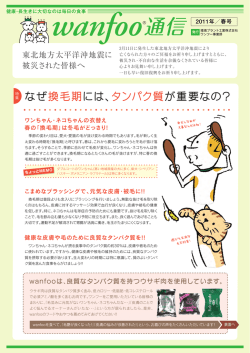 なぜ換毛期には、タンパク質が重要なの?