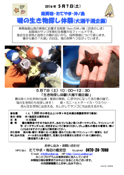 生き物探し体験チラシ - たてやま・海辺の鑑定団