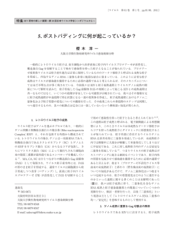 5. ポストバディングに何が起こっているか？