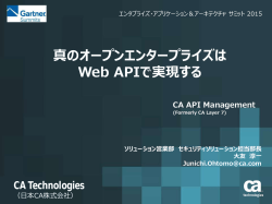 CA API Managementソリューション