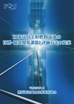 固体高分子形燃料電池の目標・研究開発課題と評価方法の提案