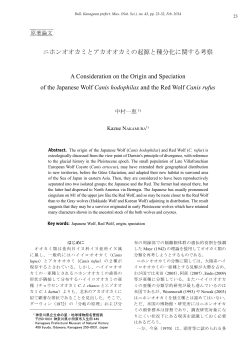本文PDF - 神奈川県立生命の星・地球博物館