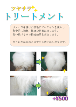 ダメージを受けた被毛にプロテインを注入し 集中的に補修、健康な状態に