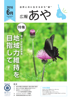 2016年6月
