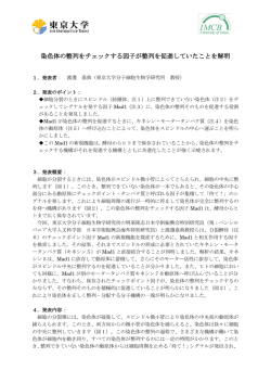 染色体の整列をチェックする因子が整列を促進していたことを解明
