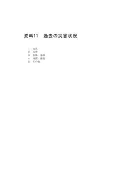 資料11 過去の災害状況