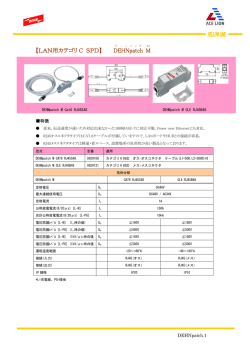 DEHNpatch デーンパッチ