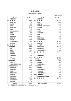 貸借対照表 - マルハニチロ