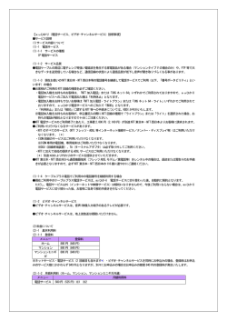 【auひかり（電話サービス、ビデオ・チャンネルサービス）説明事項