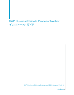 SAP BusinessObjects Process Tracker