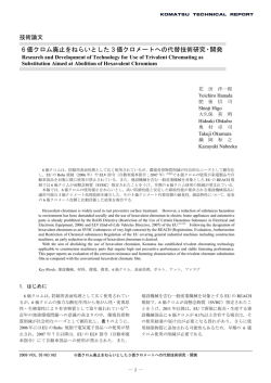 6価クロム廃止をねらいとした3価クロメートへの代替技術研究・開発