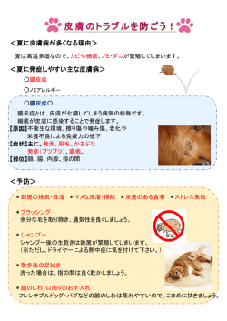 2016年 夏号 『皮膚のトラブルを防ごう』 『耳血腫について』