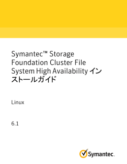 Symantec&trade; Storage Foundation Cluster File System High