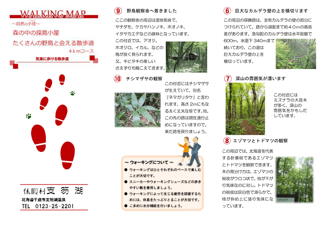 野鳥観察舎へ着きました チシマザサの観察 巨大なカルデラ壁