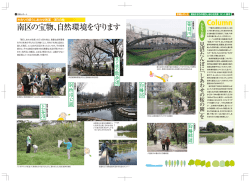 南区の宝物、自然環境を守ります