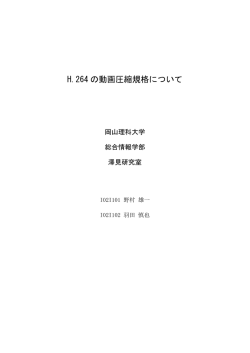 H.264 の動画圧縮規格について - 澤見ゼミ