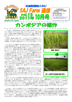 カンボジアの稲作