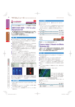 NIR-FLIVO 690 / 747 in vivo Apoptosis Kit Fluoro-Jade C Ready