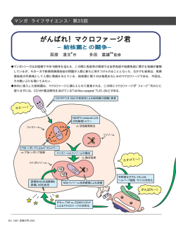 がんばれ！マクロファージ君