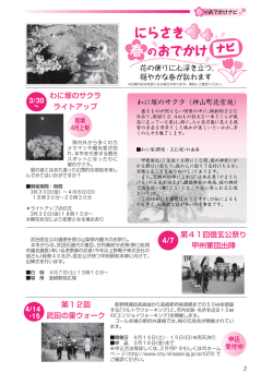 わに塚のサクラ ライトアップ 第12回 武田の里ウォーク 第41回