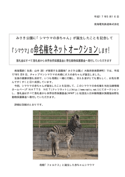 『シマウマ』の命名権をネットオークションします！