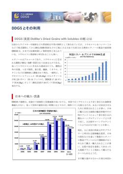 DDGS とその利用