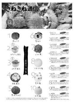 あんころ 90円 みたらし団子 よもぎ団子 月見だんご 黒米おはぎ 芋ねり い
