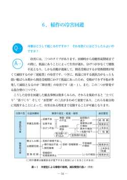 6．稲作の冷害回避