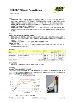 BELSIL レジン - 旭化成ワッカーシリコーン