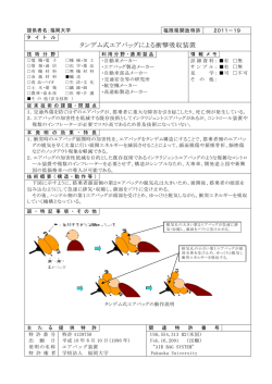 タンデム式エアバッグによる衝撃吸収装置
