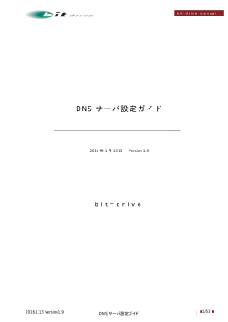 DNS サーバ設定ガイド - Bit