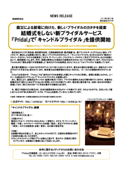 PDFダウンロード